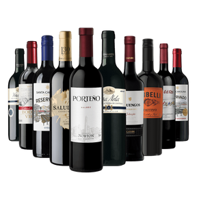 Kit 10 Vinos Selección Especial – Vino & Market