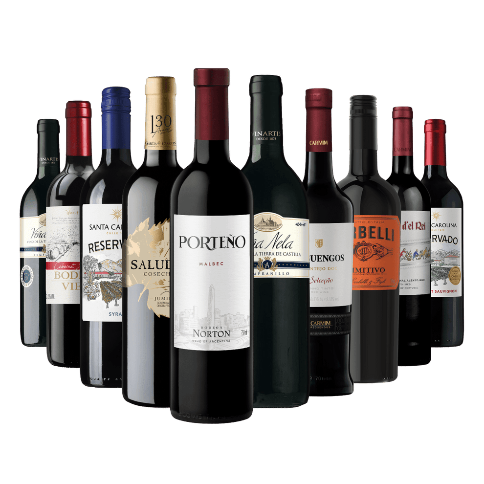 Kit 10 Vinos Selección Especial – Vino & Market